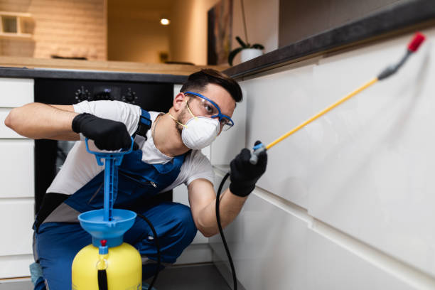 Best Termite Control Services  in Montgomery, PA