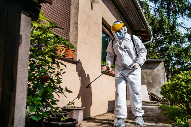 Professional Pest Control in Montgomery, PA