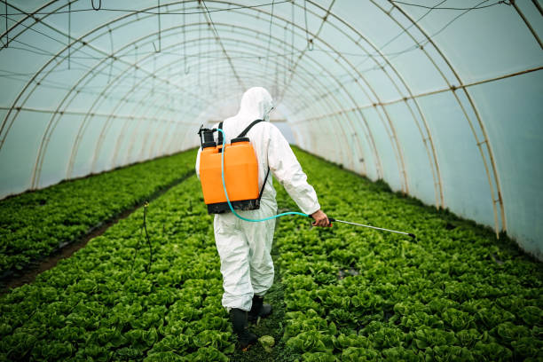 Best Best Pest Control Companies  in Montgomery, PA