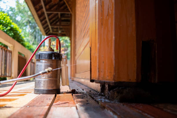 Best Exterminator Services  in Montgomery, PA