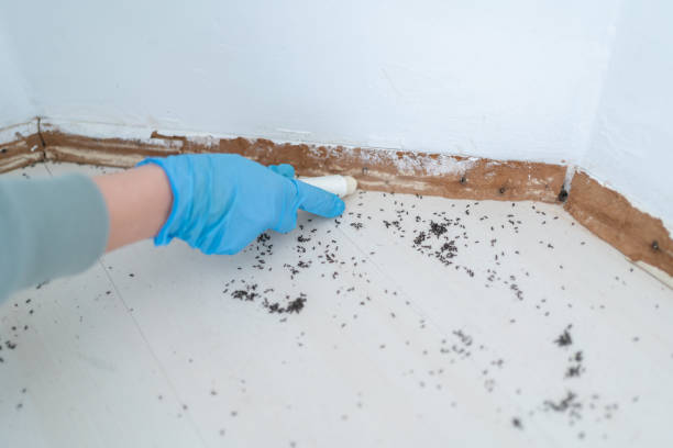 Best Commercial Pest Control Services  in Montgomery, PA
