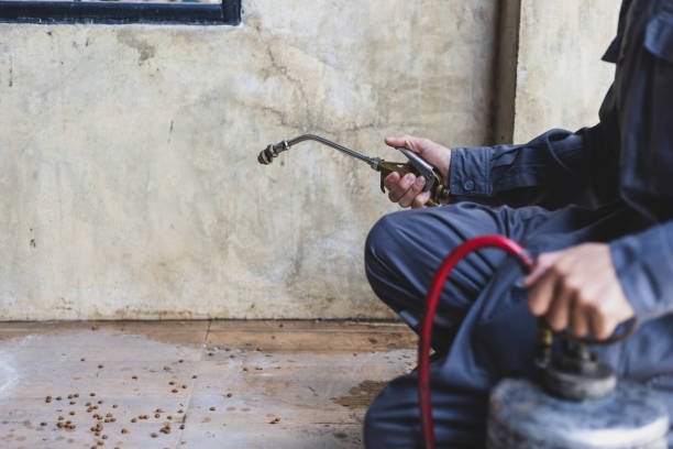 Best Pest Removal Services  in Montgomery, PA